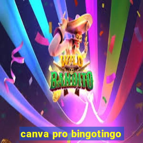 canva pro bingotingo